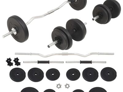 vidaXL kangi ja hantlite komplekt, 30 kg