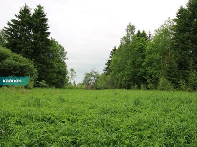 Elamumaa krunt Pangodi järve lähedal