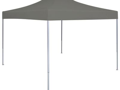 vidaXL kokkupandav pop-up peotelk, 3 x 3 m, antratsiithall