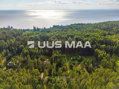Looduse keskel, linnale lähedal – unistuste kodu algab siit!