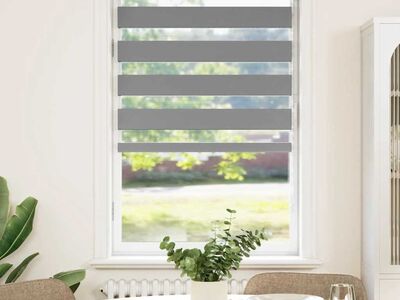 vidaXL Sebraruloo 70,9 x 120 cm, kangas, laius 66,7 cm, hall