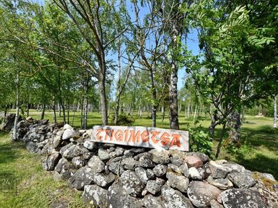 DP, Elekter, Puurkaev, Juurdepääs, Kõrghaljastus