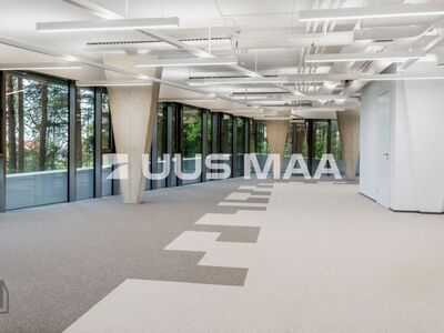 Avar ning valgusküllas büroopind Pirita mere ääres!
