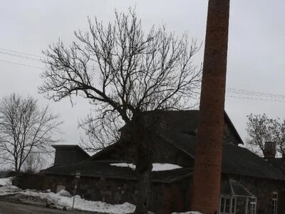 Endine Selja viinavabrik, kus on olnud nii kauplus kui ka s&ouml;&ouml;kla