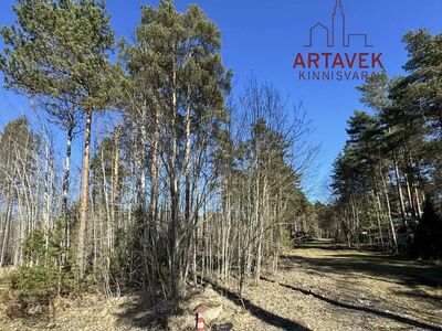 ELAMUMAA Peipsi järve lähedal - 350 m