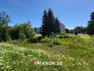 TEHNOVÕRGUD KRUNDI PEAL.