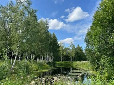 SUURE TIIGIGA MAAKODU