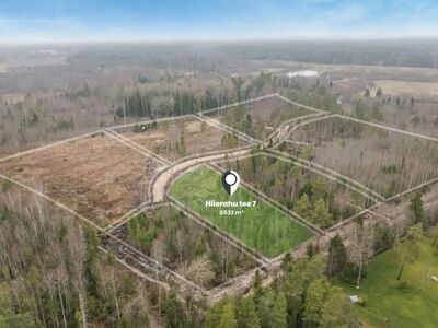 Hiierahu avarad metsakrundid linnakärast eemal