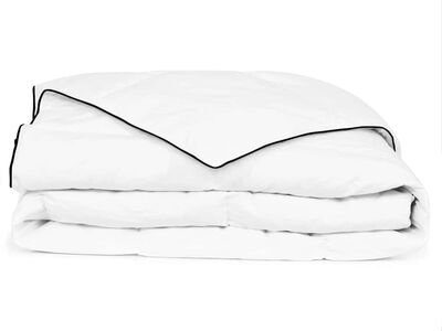 vidaXL talvine suletekk, 200 x 220 cm