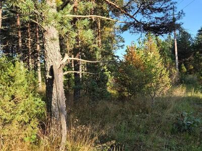 elamumaa Variku külas