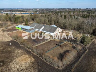 Hobuste tall 26,9ha maaga Viljandi vallas!