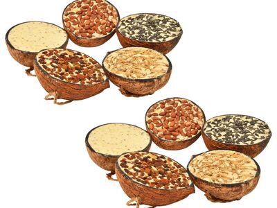 vidaXL linnutoiduga täidetud poolikud kookosed 10 tk, 290 g