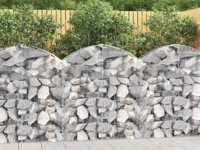 vidaXL kaarekujuline gabioonkorv, 100x30x100/120 cm, tsingitud raud