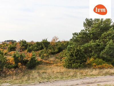 Müüme tükikest looduse ilu Prangli saarel