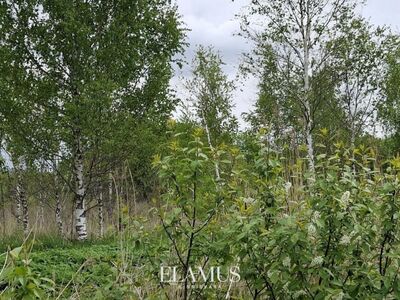 Müüa krunt Linnamäe keskuses