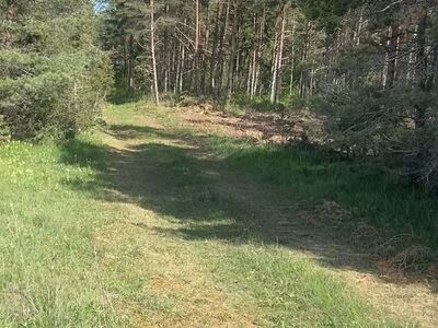 Metsane maatükk mere lähedal, krundil elekter