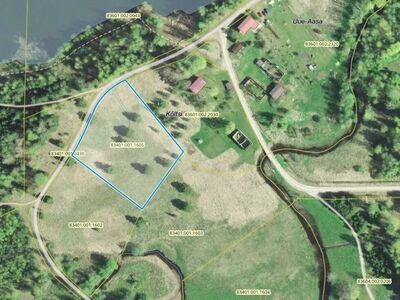 Järve lähedal, kaunis jõeorg
