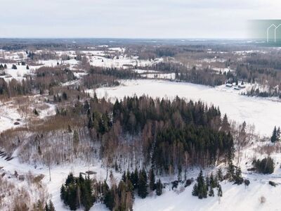 Müügile on tulnud 2,26 ha suurune kinnistu Kauru järve vahetus läheduses