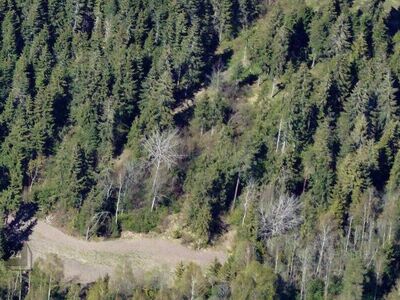 2ha Saue vallas – elekter, puurauk