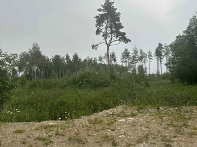 2,41 ha DETAILPLANEERINGUGA KINNISTUPAKETT