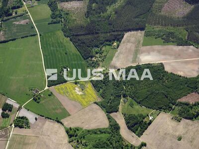 3,7 ha suurune hoonestamata kinnistu metsade vahel, hea ligipääs