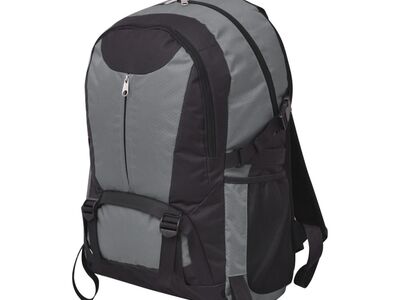 vidaXL matkakott 40 l, must ja hall