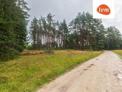 Suur kinnistu metsaga Peipsi ligidal!