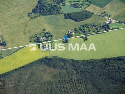 Pakkumine harrastuskalastajale! Lämmijärv vaid 6 km kaugusel