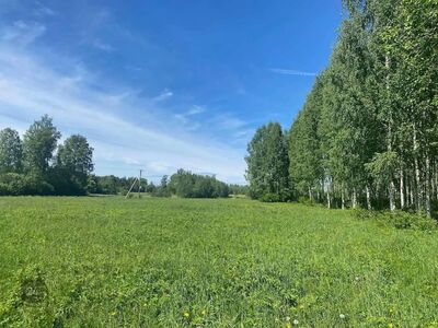 Poolsaar Pärnu jõe kaldal. Ehitamine lubatud!