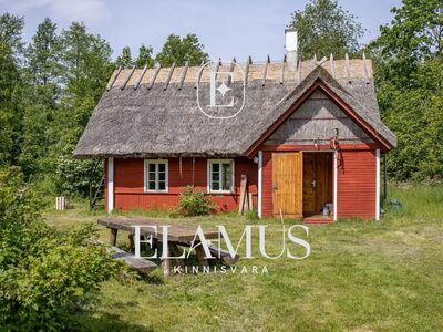 Hiiumaa peidetud pärl – koht, kuhu linnamüra lihtsalt ei ulatu