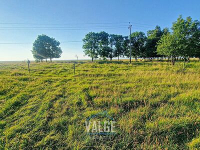 MÜÜA 1,3 HA MEREÄÄRNE KRUNT Kihnu saarel