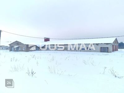 MÜÜA FARMI KINNISTU, MIILA KÜLAS