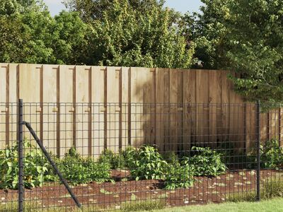 vidaXL traataed vaiadega, antratsiithall, 1 x 25 m