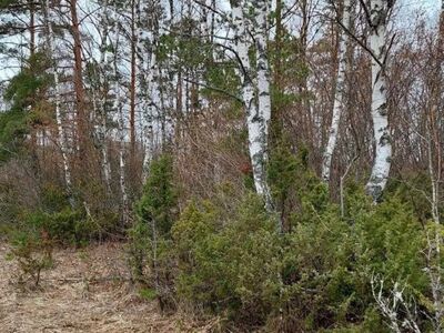 MÜÜA SUUR ELAMUMAA KRUNT HAAPSALU LÄHEDAL – PUSKU KÜLAS