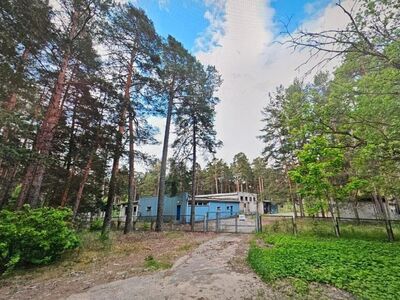 Narva-Jõesuu kesklinnas männimetsas.