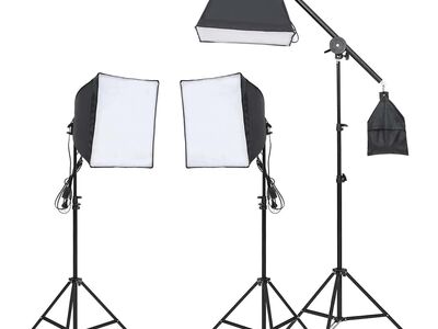 vidaXL stuudio valgustuskomplekt, statiivi ja softboxiga