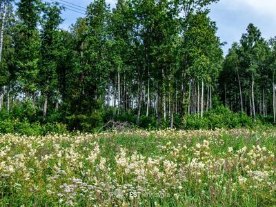 Ehitusvõimalusega kinnistu merest 2,5 km