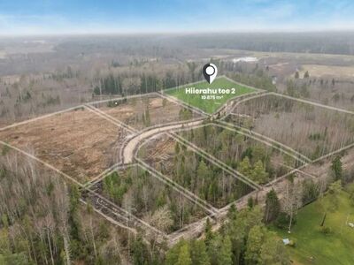 Hiierahu avarad metsakrundid linnakärast eemal
