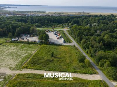 Müüa ärimaa, saab osta ka hooldatud kujul