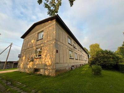 Nõgiaru