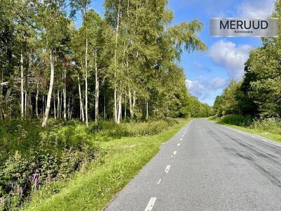 Merevaatega kinnistu.