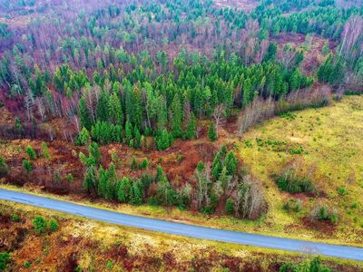 Ehitusõigus läbi projekteerimistingimuste