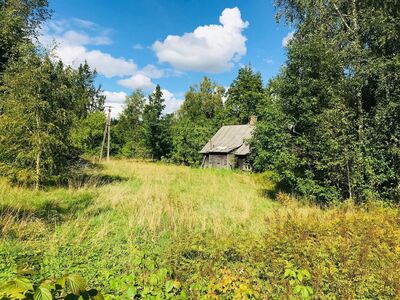 Põlispuude ja põllumaaga talukoht