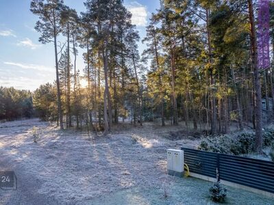 Kõrghaljastusega elamumaa Haapsalus