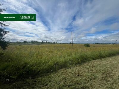 Müüa 100% maatulundusmaa Narva-Jõesuu linnas, Vodava külas, Põllumaa