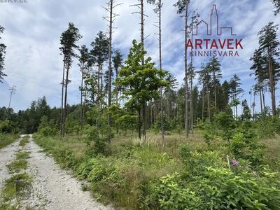 Peipsi järveni 300m!
