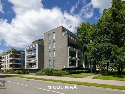 Mereäärne rahu, kesklinna dünaamika ja kvaliteetne elukeskkond.