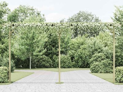 vidaXL lehtla 410 x 40 x 203 cm, puit