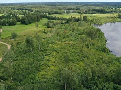 Kinnistu Uuri järve kaldal