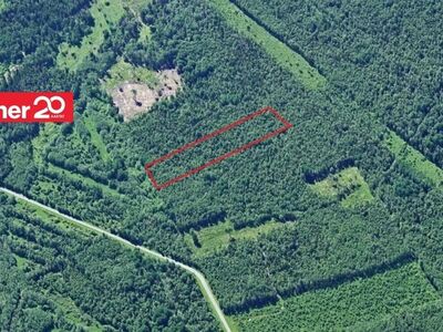 Lageraieks sobilik kaasik